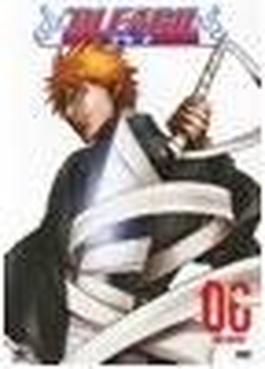 Bleach Vol 6 The Substitute