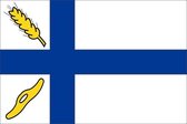 Vlag gemeente Wierden 150x225 cm