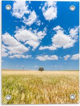 Tuinposter – Blauwe Lucht met Wolken en Boom - 30x40cm Foto op Tuinposter  (wanddecoratie voor buiten en binnen)