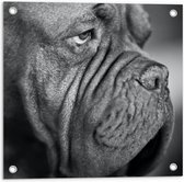 Tuinposter – Oude Hond (zwart/wit) - 50x50cm Foto op Tuinposter  (wanddecoratie voor buiten en binnen)