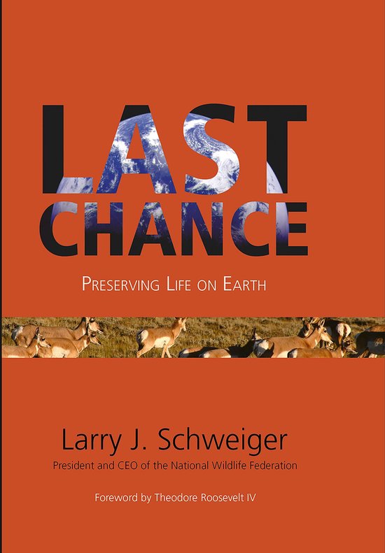 Last Chance - cover