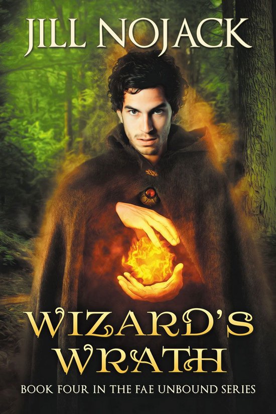 Fae Unbound Teen Young Adult Fantasy Series 4 - Wizard's Wra ... - cover