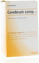 Cerebrum Comp. H Tablets