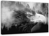 Schilderij Intense adelaar, 2 maten, zwart-wit (wanddecoratie)