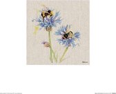 Jane Bannon Poster - Bijen Op Korenbloemen - 30 X 30 Cm - Multicolor