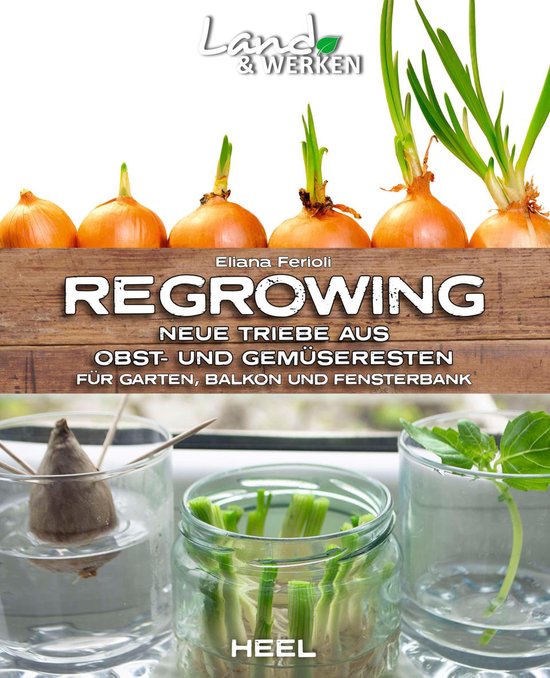 Land & Werken - Regrowing - cover