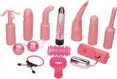 Dirty Dozen Toy Kit - Pink - Kits - pink - Discreet verpakt en bezorgd