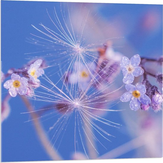 Acrylglas - Takje Bloemen met Waterdruppels - 80x80cm Foto op Acrylglas (Wanddecoratie op Acrylglas)