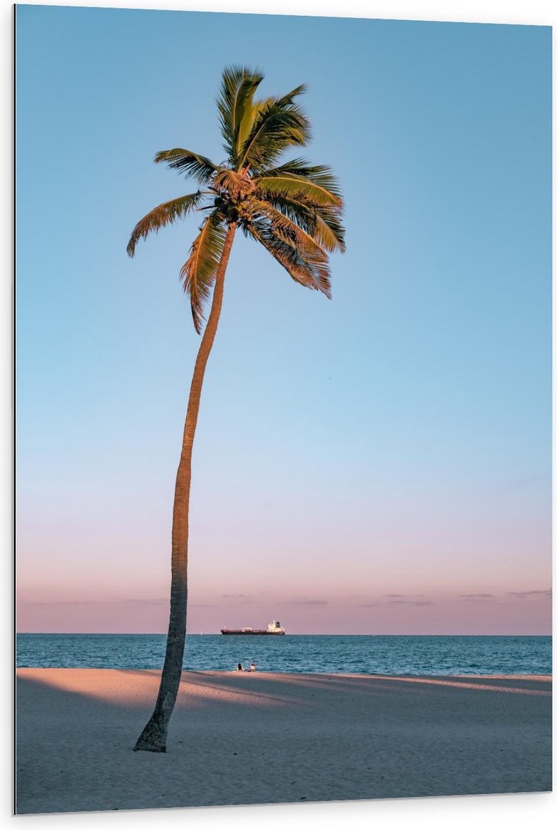 KuijsFotoprint Dibond - Palmboom op Strand met Zee - 80x120cm Foto op Aluminium (Met Ophangsysteem) Blauw