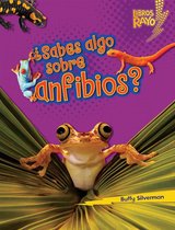 Libros Rayo — Conoce los grupos de animales (Lightning Bolt Books ® — Meet the Animal Groups) - ¿Sabes algo sobre anfibios? (Do You Know about Amphibians?)