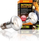 Exo Terra tightbeam daglicht warmtespot 25w
