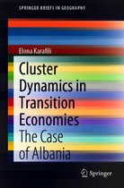 SpringerBriefs in Geography - Cluster Dynamics in Transition Economies