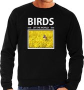 Dieren foto sweater Blauwborst vogel - zwart - heren - birds of the world - cadeau trui Blauwborst vogels liefhebber S