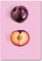 Fruit Poster Plum 1 - 40x60cm Canvas - Multi-color
