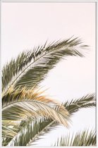 JUNIQE - Poster in kunststof lijst Oasis Palm 3 -60x90 /Groen