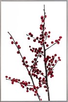 JUNIQE - Poster met kunststof lijst Red Berries 2 -20x30 /Rood & Wit