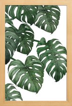 JUNIQE - Poster in houten lijst Monstera plant -30x45 /Groen & Wit