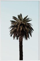JUNIQE - Poster in kunststof lijst Palmtree -20x30 /Bruin & Groen