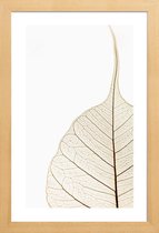 JUNIQE - Poster in houten lijst Translucent Leaf -60x90 /Wit