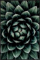 JUNIQE - Poster in kunststof lijst Cactus hart -40x60 /Groen