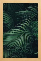 JUNIQE - Poster in houten lijst Gevederde Palm -30x45 /Groen