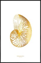 JUNIQE - Poster met kunststof lijst Nautilus Shell gouden -20x30 /Goud