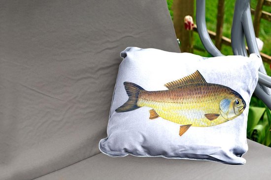Coussins d'extérieur - Jardin - Poisson giebel doré sur fond blanc - 60x40 cm