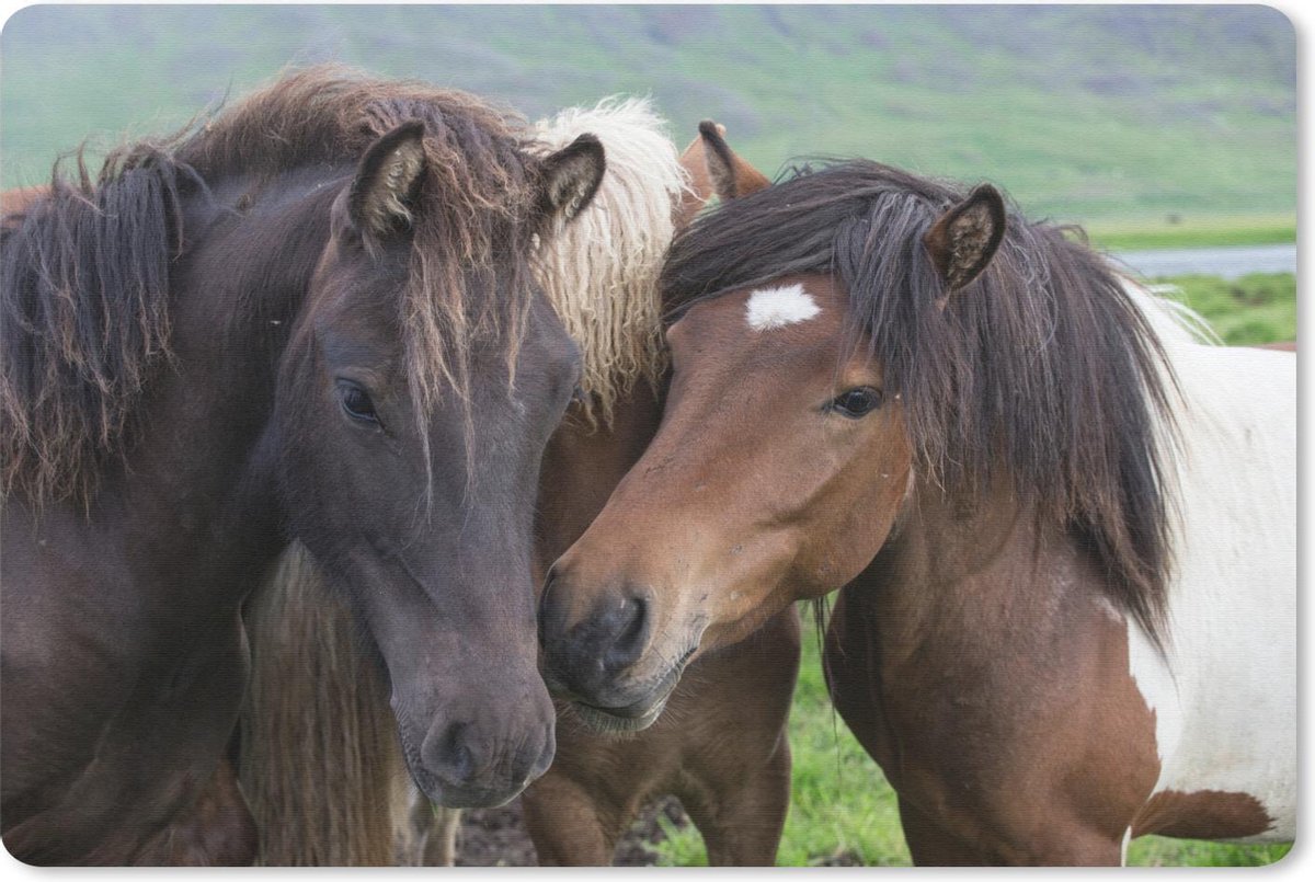 Muismat Gevlekt paard - Groep gevlekte paarden muismat rubber - 60x40 cm - Muismat met foto