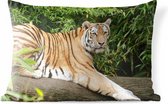 Buitenkussens - Tuin - Siberische tijger op een tak - 60x40 cm