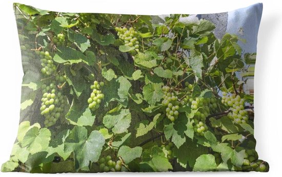 Buitenkussens - Tuin - Wijnstokken met druiven - 50x30 cm