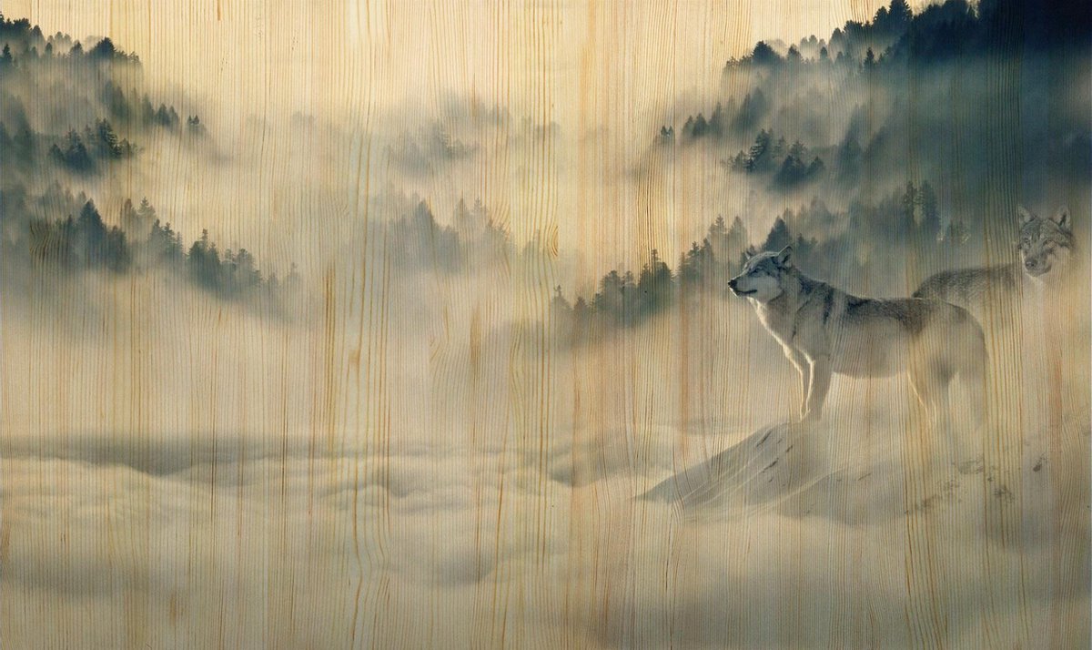 Schilderij - landschap - wolf - Collectie european wildlife - Hout met leren lussen - 118x70cm