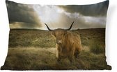 Sierkussens - Kussen - Harige Schotse hooglander met zonnestralen - 50x30 cm - Kussen van katoen