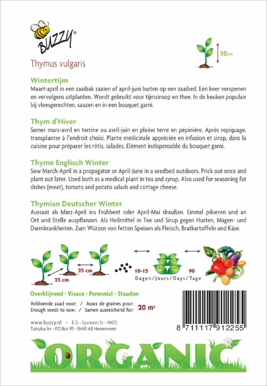 Buzzy® Organic - Tijm (BIO) - Buzzy Seeds