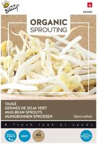 Buzzy® Organic Sprouting Taugé (BIO)