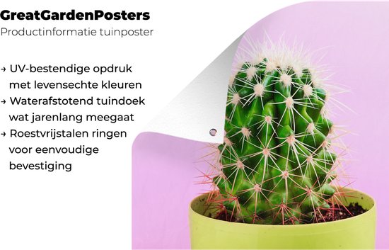 Cactus en pot sur fond rose affiche de jardin toile en vrac 90x60 cm - Toile de jardin / Toile d'extérieur / Peintures d'extérieur (décoration de jardin)