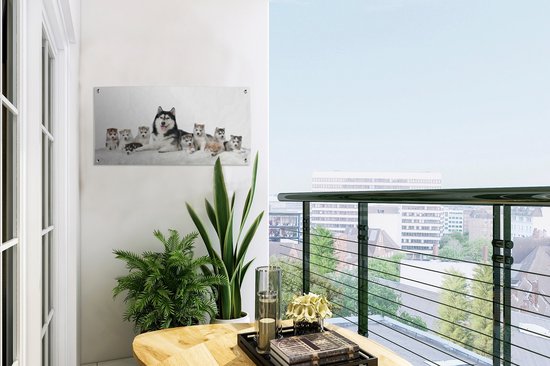 Affiche de jardin Mère avec chiots toile en vrac 60x30 cm - petit - Toile de jardin / Toile d'extérieur / Peintures pour l'extérieur (décoration de jardin)