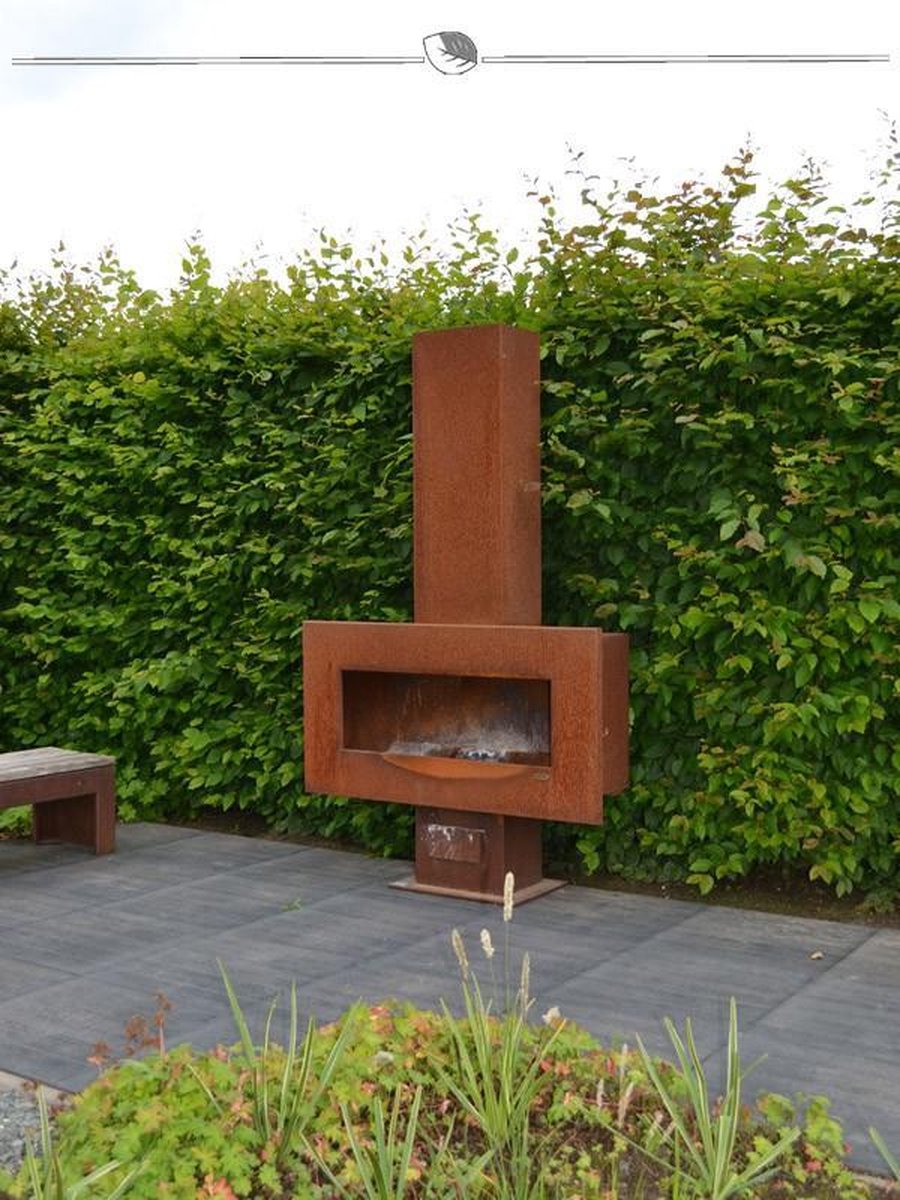 Haagbeuk Carpinus betulus 150-175 cm Blote wortel, 500x Haagplant
