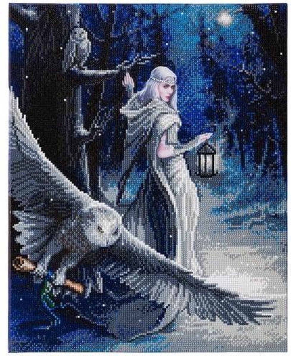 Diamond Painting Crystal Art Kit ® Midnight Messenger, 40x50 cm, partial painting