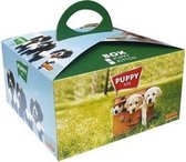 Biofood puppy box hondenvoer