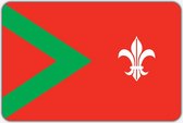 Vlag Rijsbergen - 100 x 150 cm - Polyester