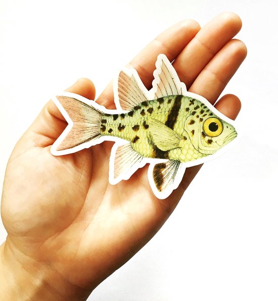 Gevlekte vis sticker [4 stickers - schrijf in] | bol.com