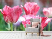 Professioneel Fotobehang Roze tulpen - roze - Sticky Decoration - fotobehang - decoratie - woonaccessoires - inclusief gratis hobbymesje - 520 cm breed x 350 cm hoog - in 7 verschillende form