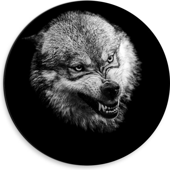 Dibond Wandcirkel - Grote Boze Wolf (zwart/wit) - 30x30cm Foto op Aluminium Wandcirkel (met ophangsysteem)