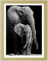 Foto in frame , Moeder Olifant met jong , 3 maten , Zwart wit , wanddecoratie , Premium print