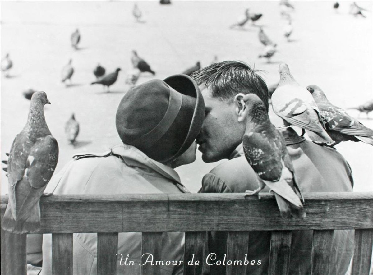 Catch Projecten Poster - Un Amour de Colombes - Keystone - Zwart/Wit - Fotografie - Jaren 80