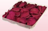 Rozenblaadjes | 100% natuurlijk | Cerise | 1 liter
