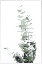 JUNIQE - Poster in kunststof lijst Eucalyptus foto -60x90 /Groen & Wit
