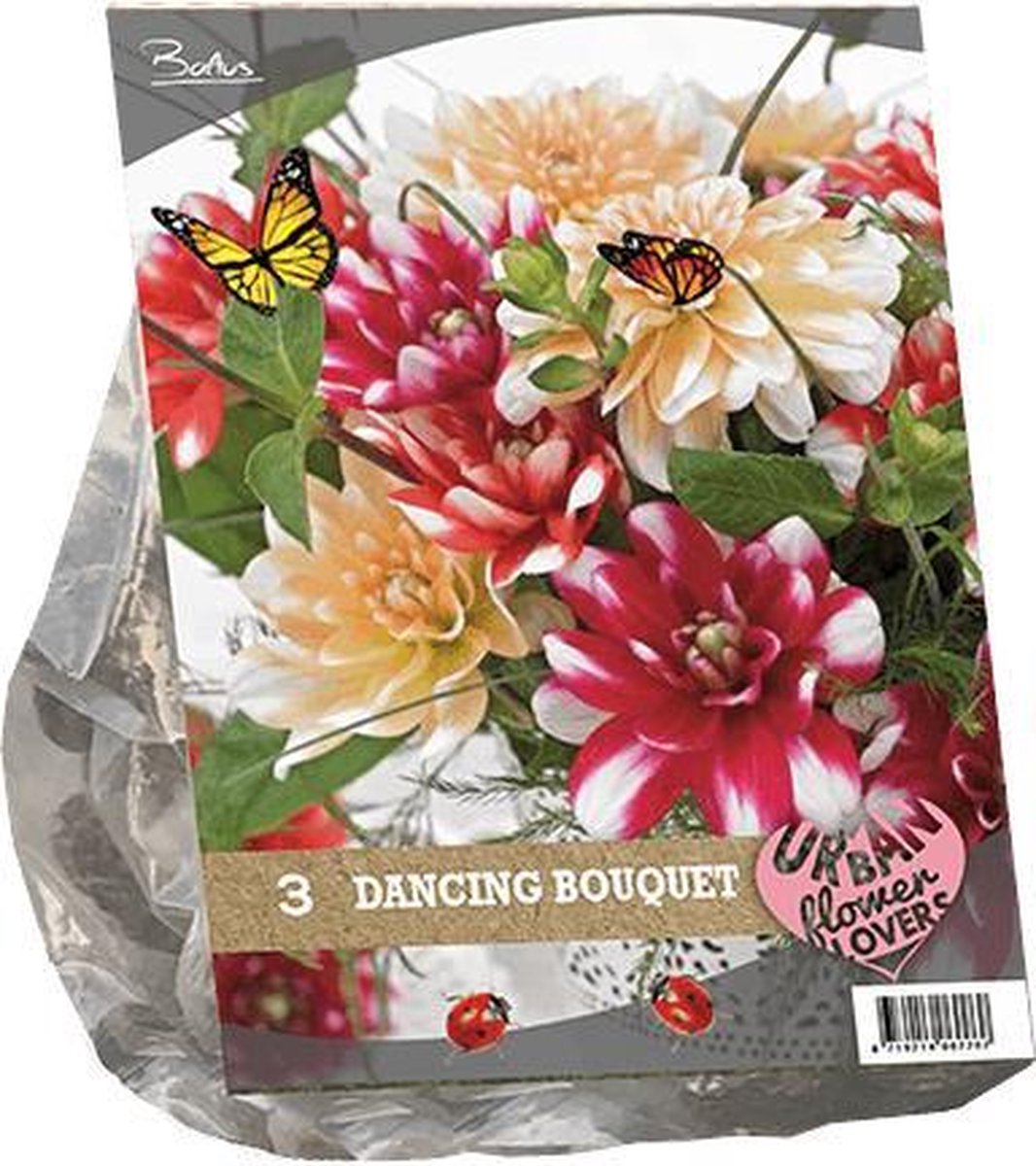 3 stuks Urban Flowers - Dancing Bouquet