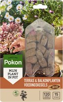 Pokon Bio Terras & Balkon Planten Voedingskegels 40st