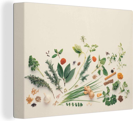 Canvas Schilderij Kruiden en specerijen op effen achtergrond - 120x90 cm - Wanddecoratie